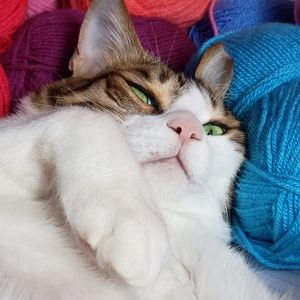 Meet your Posher, Sloane